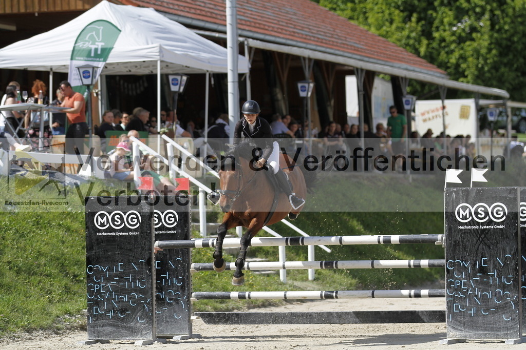 _MG_0487 | equestrian-live-com
