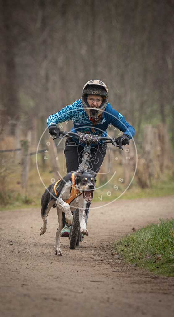 Pfotenfotografie_DV3A2252 | Hundefotografie, Tierfotograf, Pfotenfotografie, Fotoshooting Hund, Hunde Portrait, Hundesport, Hundeportraits, Heideshooting, Hunde, Sportfotograf, Hundefotograf, Turnierhundsport, THS,  - Realisiert mit Pictrs.com