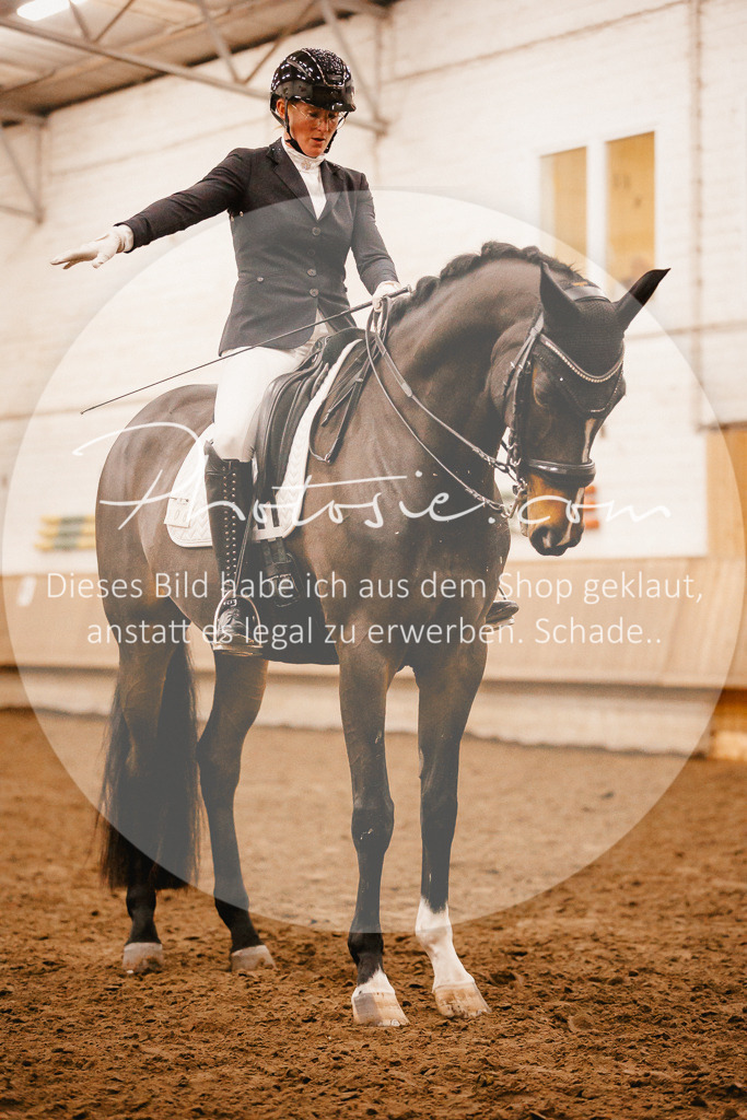 3I6A7079 | Stimmungsvolle Portraits und Reitsportfotografie im Ruhrgebiet und im Münsterland.

Pferdefotografie, Hundefotografie, Tierfotografie, Reportagen, Portraits von Tier und Mensch, Turnierfotografie in Bochum, Recklinghausen, Marl, Haltern am See, Dülmen.. - Realisiert mit Pictrs.com