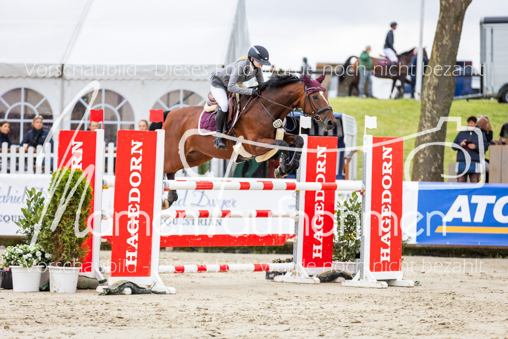 BHO-2PhSpr-M-5-2146 | MomenTaufnahmen Pferdesportfotos