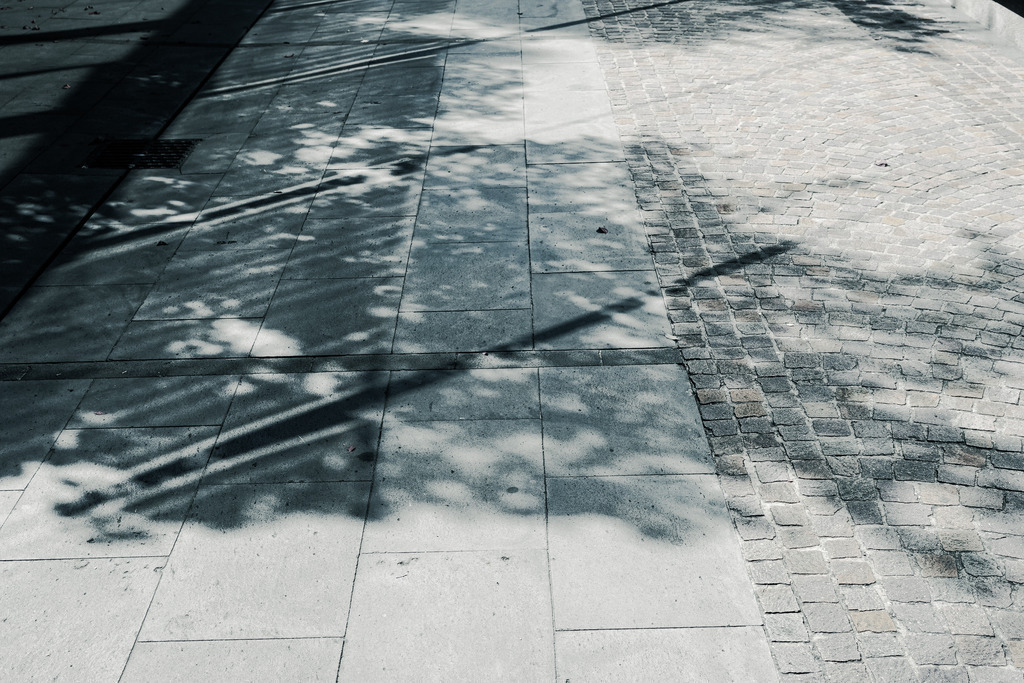 DSC00776 | AHORN PHOTOGRAPHY - Realisiert mit Pictrs.com