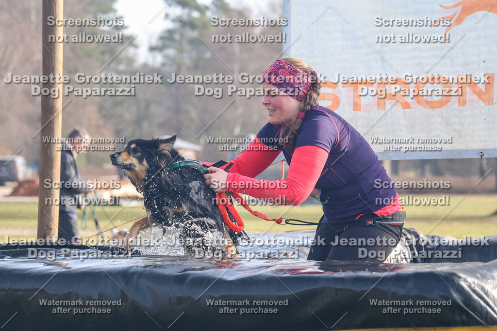 Dog Paparazzi - Strongdog North Mrz26-219 | Dog Paparazzi Jeanette Grottendiek Fotografie & Videografie - Realisiert mit Pictrs.com