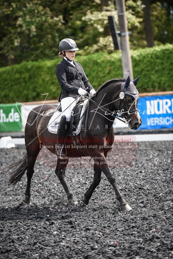 DSC_5085 | Pferde- und Turnierfotografie in Westsachsen. Pferdeportraits, Auftragszeichnungen und intuitive Kunst.