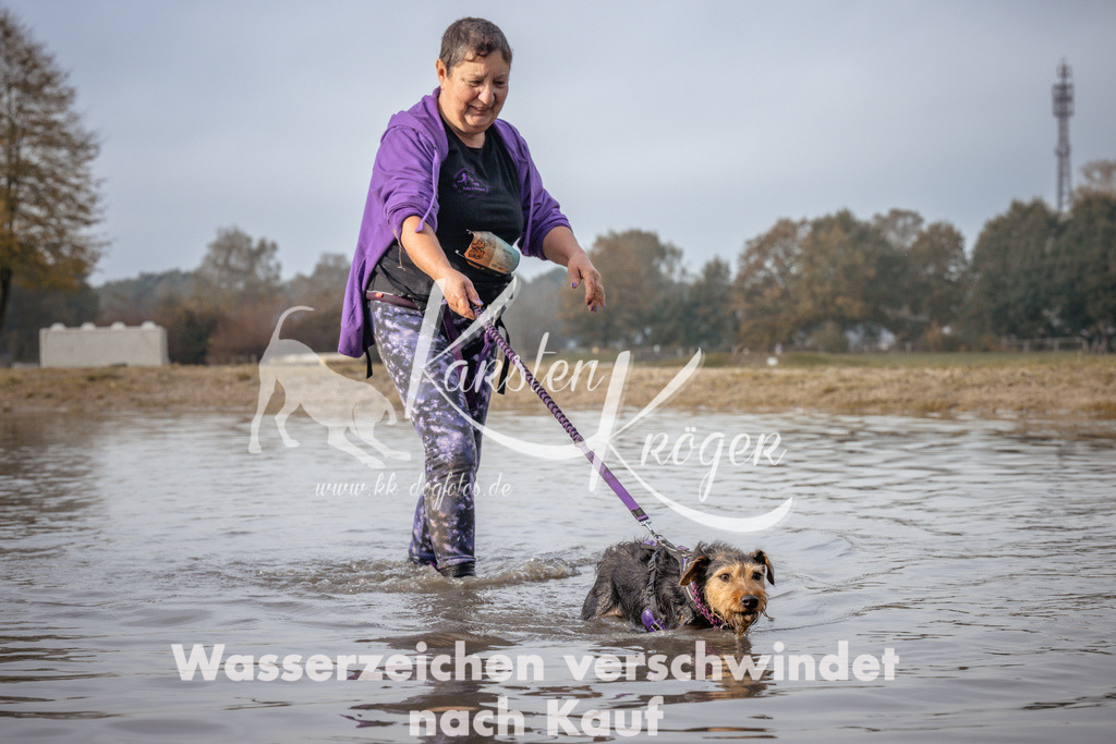 1123_ZZ94401 | kk-dogfotos
