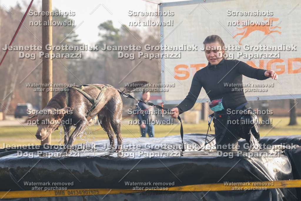 Dog Paparazzi - SD North 0326 900930-130 | Dog Paparazzi Jeanette Grottendiek Fotografie & Videografie - Realisiert mit Pictrs.com