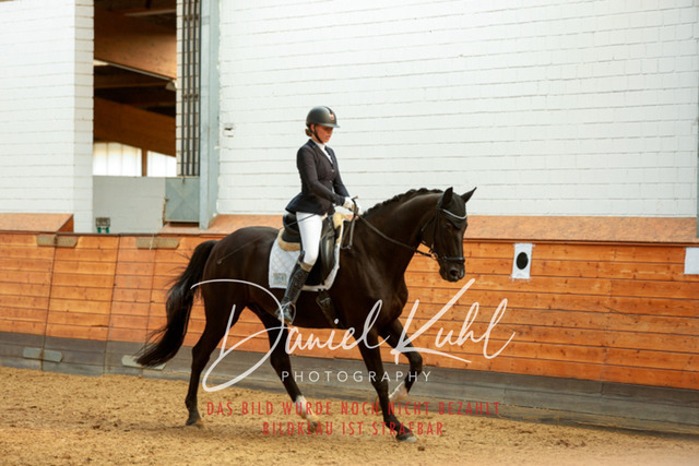 _62_6868 | Turniersportfotografie; Pferdefotografie; Dressurfotografie