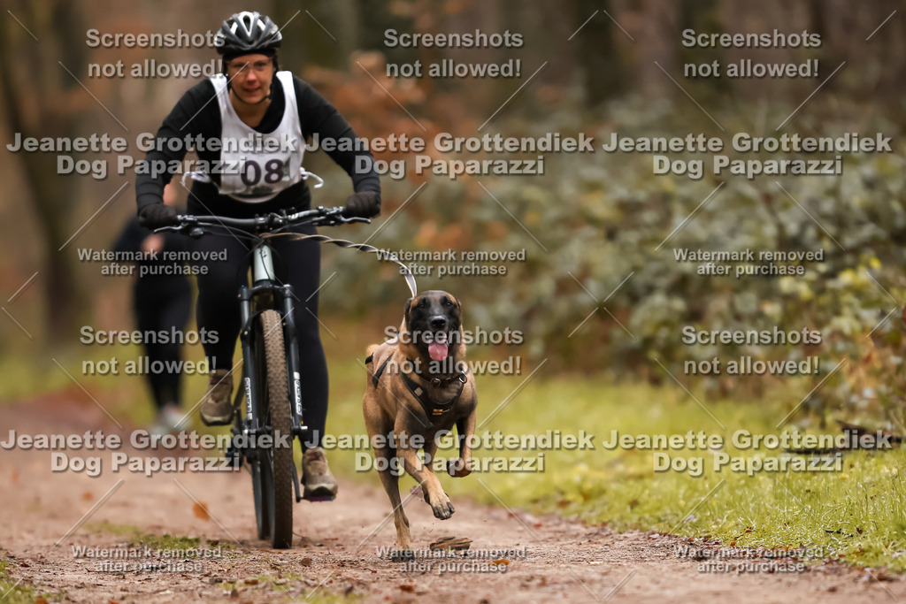 Dog Paparazzi - Speedhunter Mannheim  2025-25 | Dog Paparazzi Jeanette Grottendiek Fotografie & Videografie