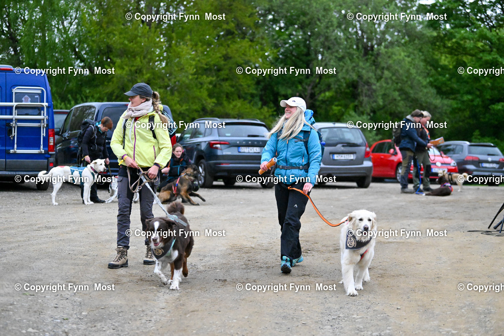 DSC_6268 | Hallo und herzlich Willkommen auf meiner Shop-Seite Fynn Most.

Ich wünsche Dir viel Spaß beim stöbern durch die Bilder, wenn Du Fragen hast oder Bilder vermisst, kannst du mir gerne eine Nachricht schreiben. - Realisiert mit Pictrs.com