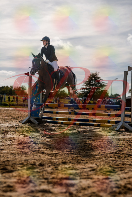 2026_10_03_Siefer-Hof_155322_Z63_10422408 | Professionelle Reitsport-, Turnier- und Eventfotografie von Robert Broda. Galerien mit ausgewählten und bearbeiteten Bildern direkt online ansehen und bestellen.