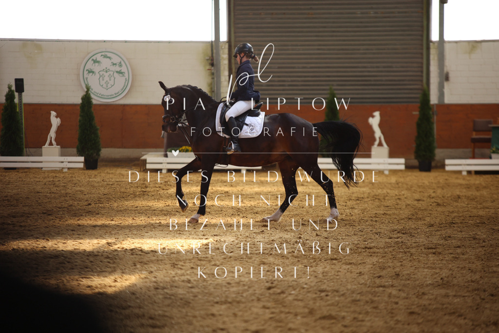 IMGT0720 | pl-fotografie