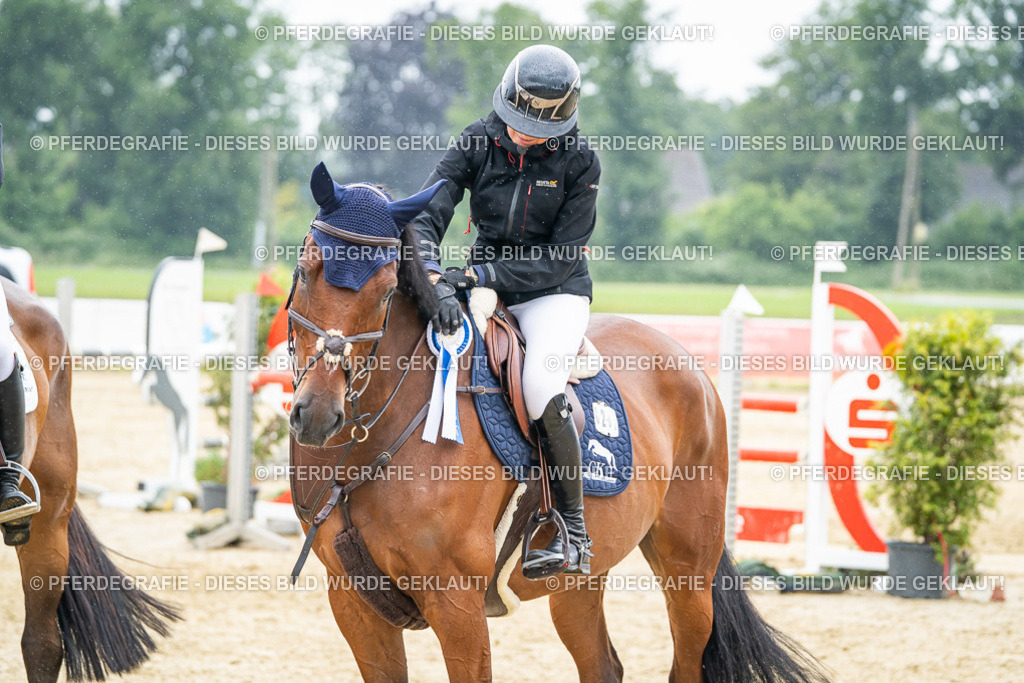 DSC03130 | Pferdegrafie