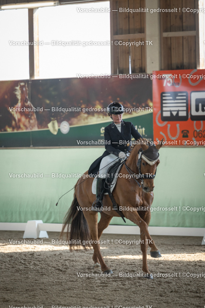 _D5A0140 | Emotionale Pferde- & People-Fotografie rund um Heidelberg, Leimen & Umgebung. Natürliche Fotos von Pferd, Mensch & Familie. Jetzt Termin sichern!