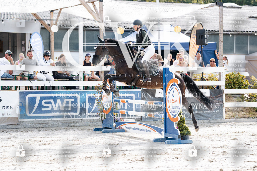 CK905536 | Turnierfotografie Pferdefotografie Trier Rheinland-Pfalz Pferdesport Reitsport Tierfotografie Sportfotografie Pferdevideo Pferdevideografie Equestrianvideography equestrianphotography  - Realisiert mit Pictrs.com