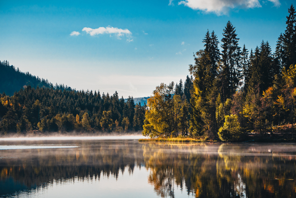 Windgfällweiher | Goldener Herbstmorgen am Windgfällweiher im Hochschwarzwald - Realisiert mit Pictrs.com