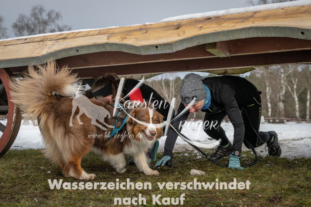 0932_ZZ90701 | kk-dogfotos