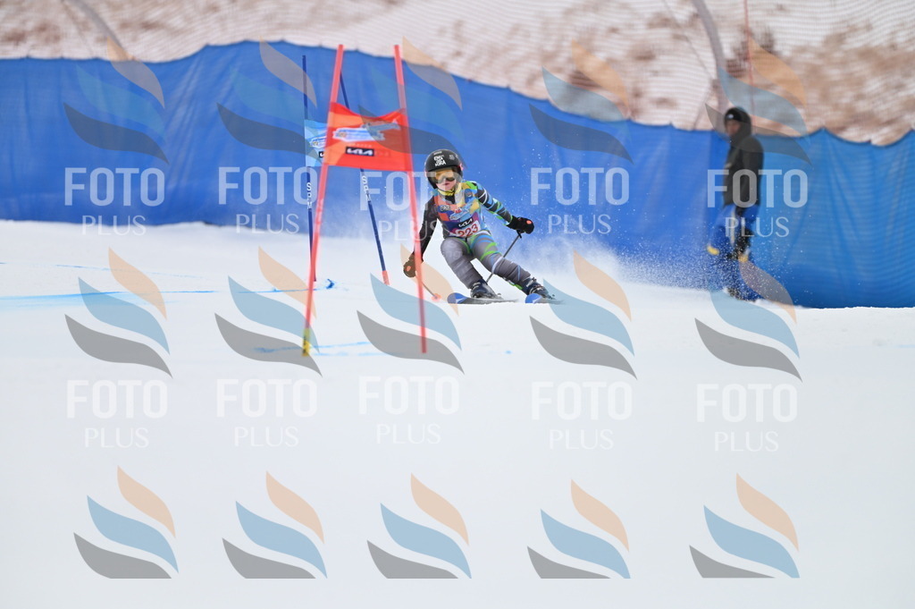 BGV_3185 | holidayphoto