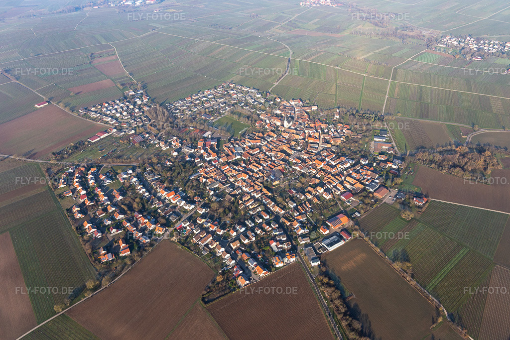 Luftbild: Ortsansicht im Ortsteil Mörzheim in Landau im Bundesland Rheinland-Pfalz in Deutschland. Foto: IMG_120017.jpg vom 07.02.2020 durch Werner Riehm/FLY-FOTO.de