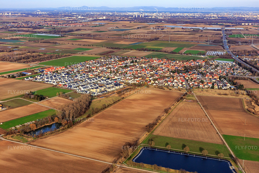 Luftbild: Ortsansicht von Westen im Ortsteil Schauernheim in Dannstadt-Schauernheim im Bundesland Rheinland-Pfalz in Deutschland. Foto: IMG_130399.jpg vom 12.02.2022 durch Werner Riehm/FLY-FOTO.de