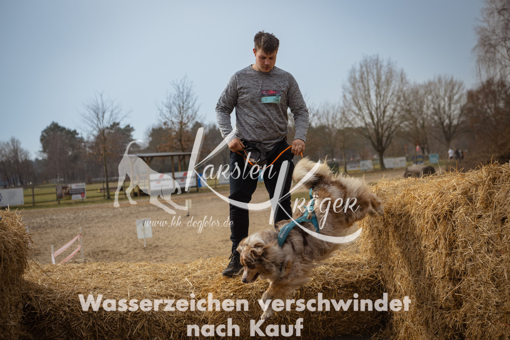 1128_ZZ93848 | kk-dogfotos