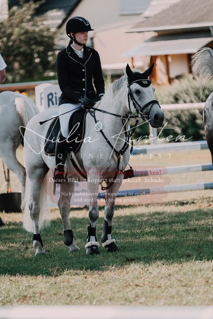 DSC_4895 | Pferde- und Turnierfotografie in Westsachsen. Pferdeportraits, Auftragszeichnungen und intuitive Kunst.