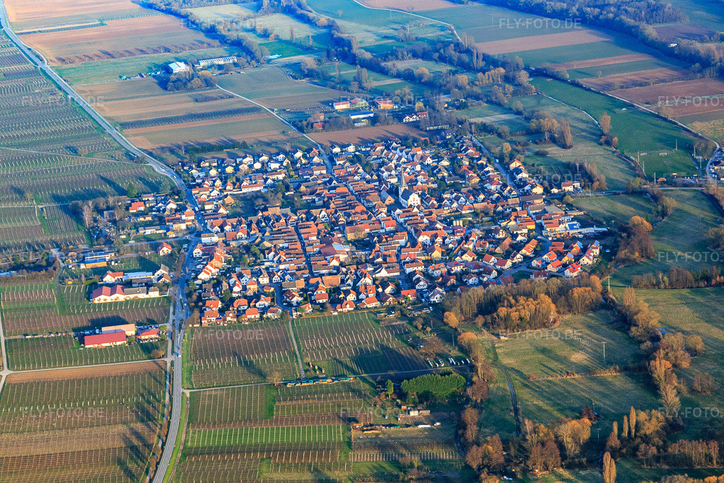 Luftbild: Dorfansicht aus Nordwesten in Großfischlingen im Bundesland Rheinland-Pfalz in Deutschland. Foto: IMG_097385.jpg vom 10.03.2017 durch Werner Riehm/FLY-FOTO.de