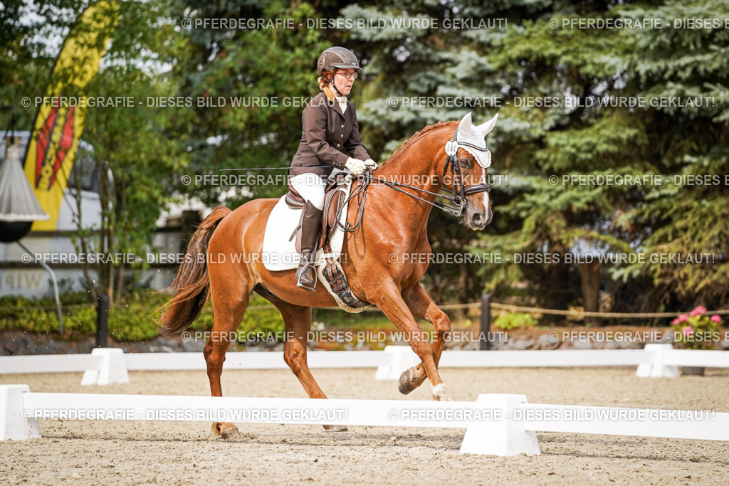 DSC06057 | Pferdegrafie