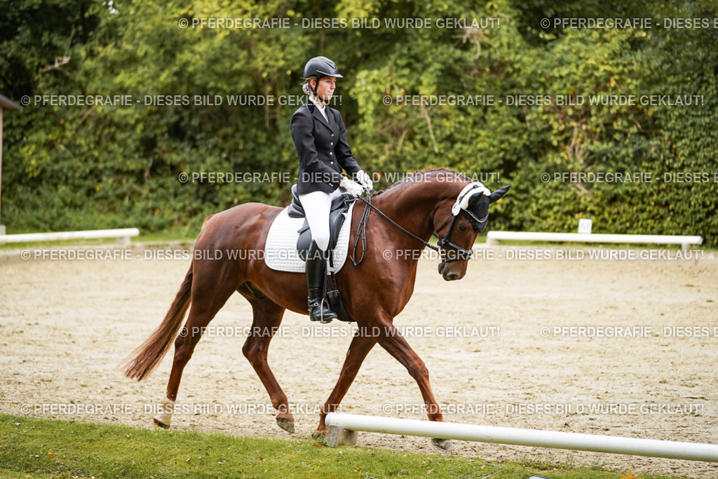 DSC00275 | Pferdegrafie