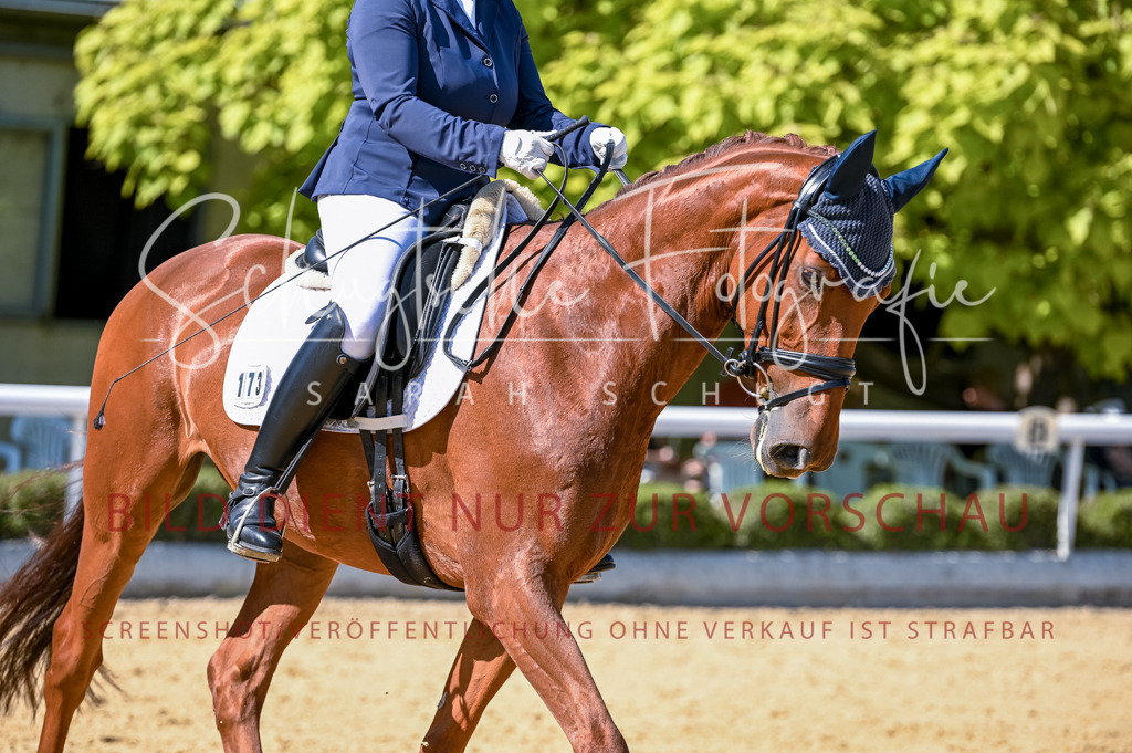 Schugtsche-Aluta25-50.Dressurpferdeprf.L-114 | Schugtsche Fotografie - Realisiert mit Pictrs.com