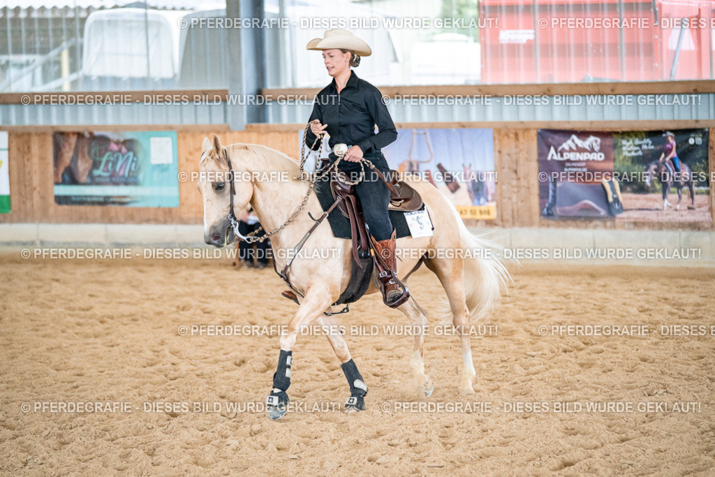 DSC03022 | Pferdegrafie