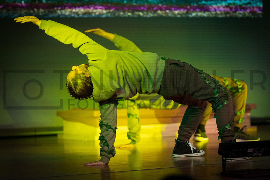 DSC05274 | Tinu Müller Fotografie- Bildershop - Realisiert mit Pictrs.com