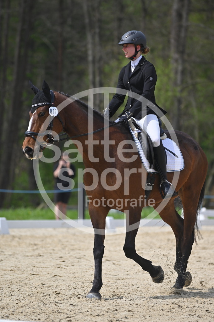 DSC_3179 | sattelsport - Realisiert mit Pictrs.com