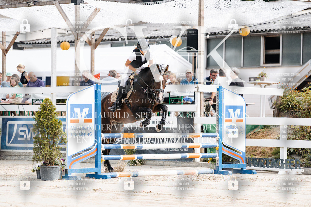 CK908852 | Turnierfotografie Pferdefotografie Trier Rheinland-Pfalz Pferdesport Reitsport Tierfotografie Sportfotografie Pferdevideo Pferdevideografie Equestrianvideography equestrianphotography  - Realisiert mit Pictrs.com