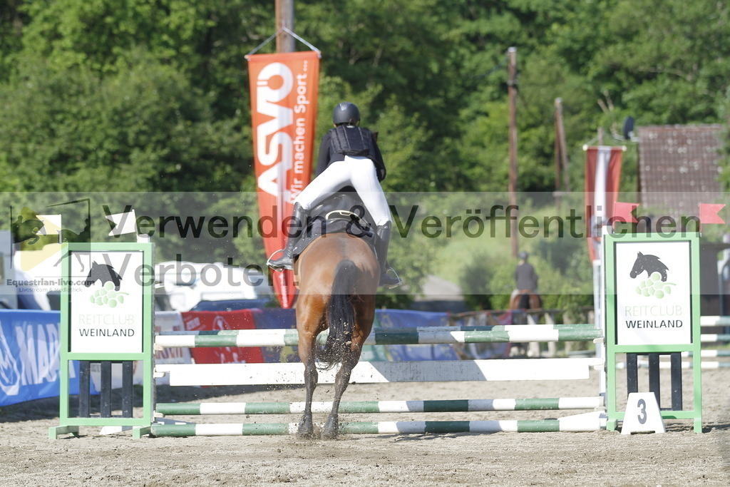 _MG_7938 | equestrian-live-com