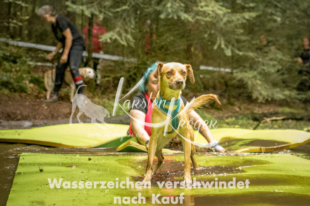 1418_ZZ91895-Bearbeitet | kk-dogfotos