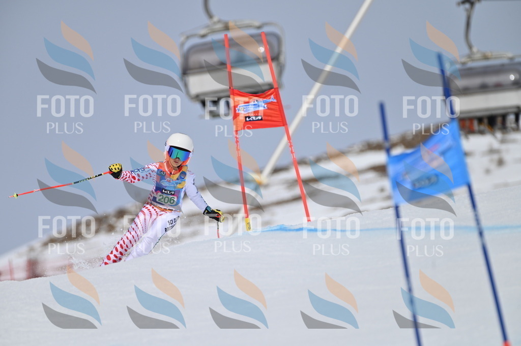 BGV_3962 | holidayphoto