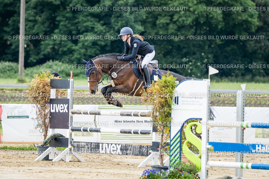 DSC04142 | Pferdegrafie