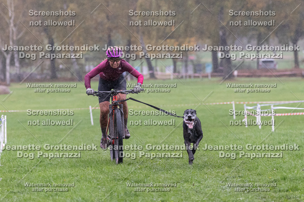 Dog Paparazzi - SD CaniX Championship 2025-909 | Dog Paparazzi Jeanette Grottendiek Fotografie & Videografie - Realisiert mit Pictrs.com