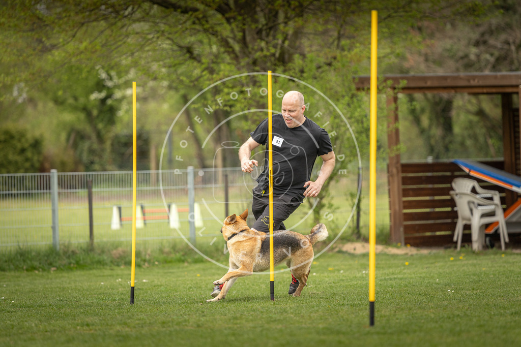 Pfotenfotografie_DV3A2176 | Hundefotografie, Tierfotograf, Pfotenfotografie, Fotoshooting Hund, Hunde Portrait, Hundesport, Hundeportraits, Heideshooting, Hunde, Sportfotograf, Hundefotograf, Turnierhundsport, THS,  - Realisiert mit Pictrs.com