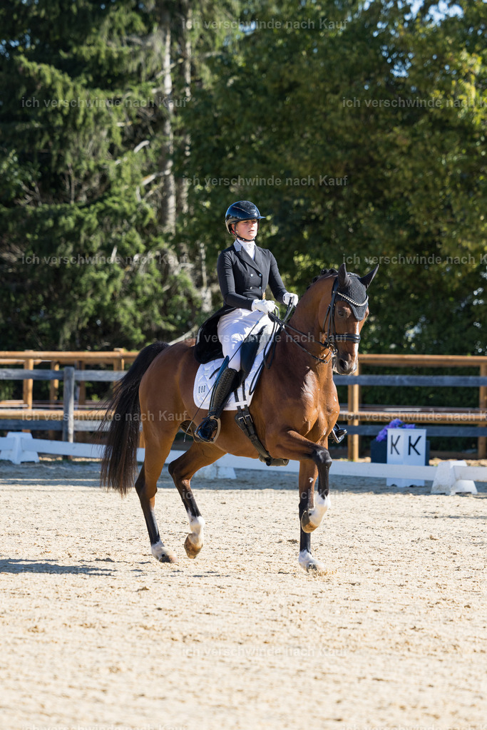 FHC2026_P07_80_17407 | working equitationturnier fotograf videograf stoibphotography marixx film working equitation deutschland reitsport turnierfotografie eventfotografie equestrian events