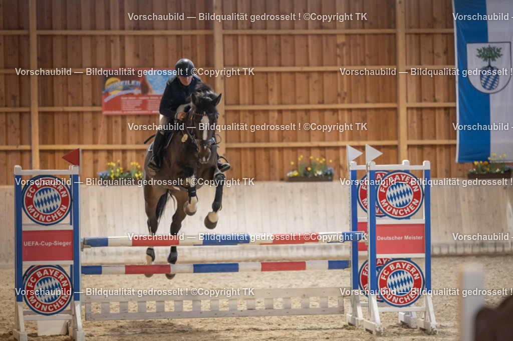 _D5A8530 | Emotionale Pferde- & People-Fotografie rund um Heidelberg, Leimen & Umgebung. Natürliche Fotos von Pferd, Mensch & Familie. Jetzt Termin sichern!