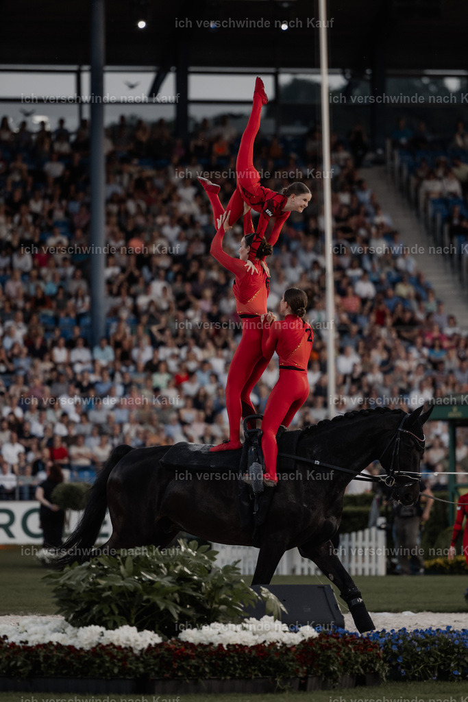 TSCHIO26_PferdundSinfonie_StoibphotographyTSCHIO26_Pferd-Sinfonie_Stoibphotography_AM11021.CR3.jpg | working equitationturnier fotograf videograf stoibphotography marixx film working equitation deutschland reitsport turnierfotografie eventfotografie equestrian events