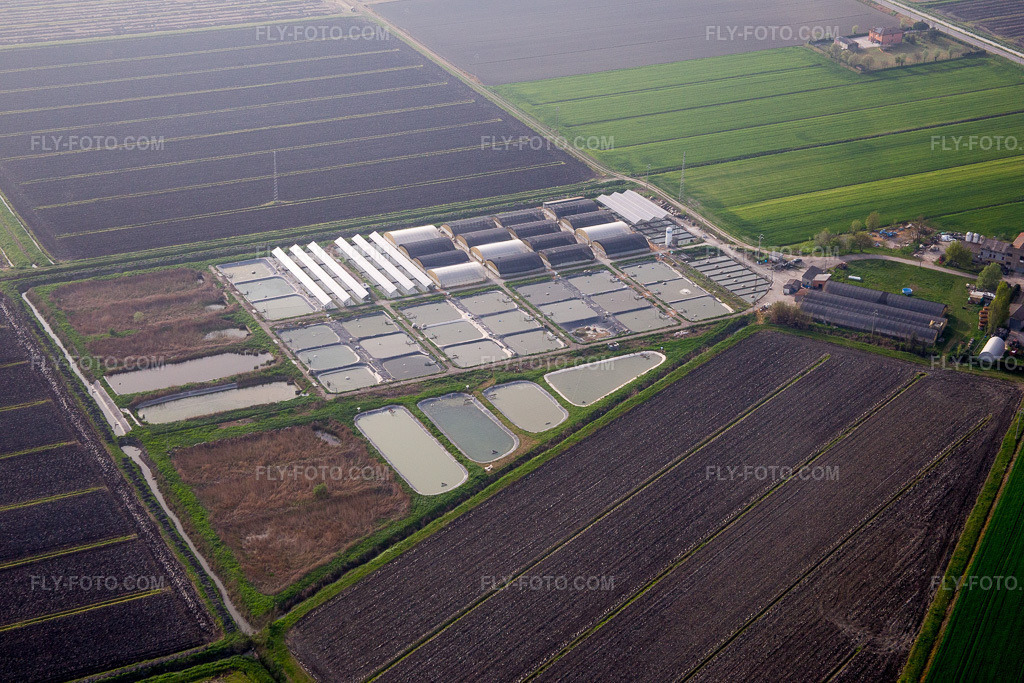 Aerial view: Animal breeding facilities - pig breeding for pork production combined with fish farming ponds in Emilia-Romagna in Codigoro in the state Ferrara, Italy. – Photo: IMG_087317.jpg taken on 04/05/2016 by Werner Riehm/FLY-FOTO.com – Resolution of the original: 5472 x 3648 px