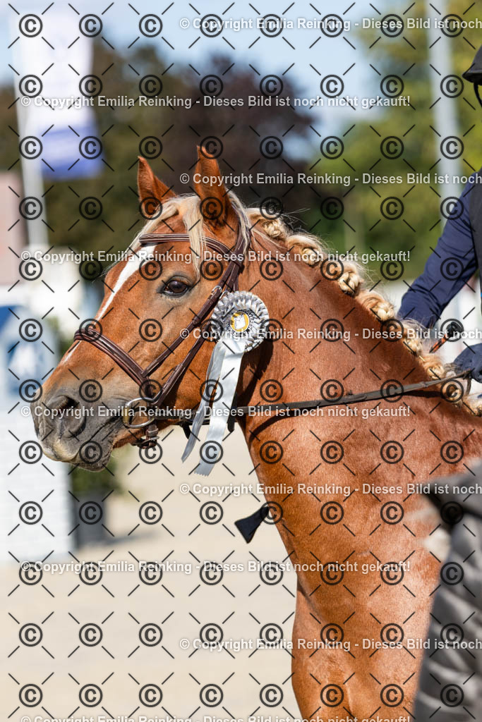 CL5A4223 | Emilia Reinking Fotografie - Realisiert mit Pictrs.com