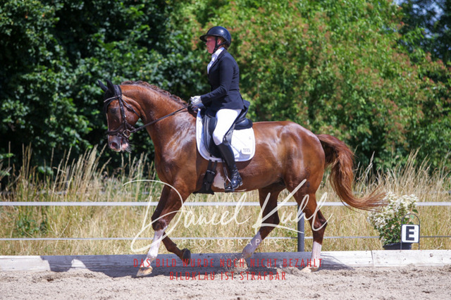 DKP46429 | Turniersportfotografie; Pferdefotografie; Dressurfotografie