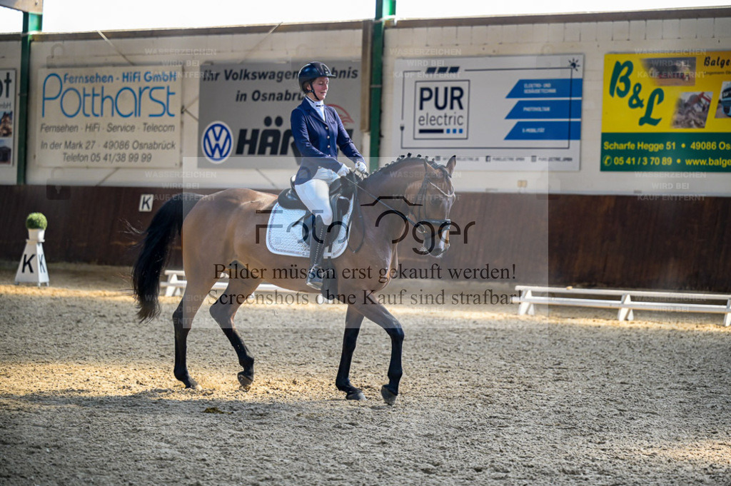 Reitturnier Voxtrup | Entdecke hochwertige Reitturnierfotos von Foto Oger. Professionell, emotional und authentisch – jetzt Lieblingsmomente im Shop bestellen. - Realisiert mit Pictrs.com