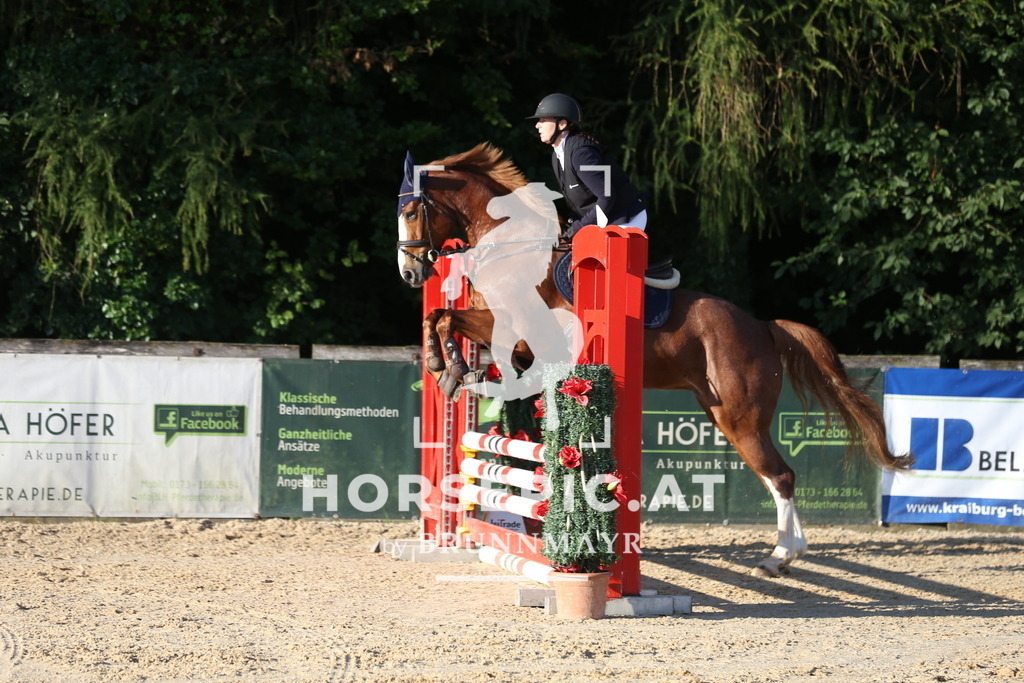 DL2Q7238 | Willkommen bei Brunnmayr - Design & Fotografie – Ihrem Spezialisten für Reitturniere und Pferdeveranstaltungen in Oberösterreich, Salzburg und Bayern! Seit über 17 Jahren sind wir leidenschaftlich dabei.