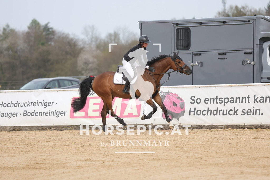 0P6A7520 | Willkommen bei Brunnmayr - Design & Fotografie – Ihrem Spezialisten für Reitturniere und Pferdeveranstaltungen in Oberösterreich, Salzburg und Bayern! Seit über 17 Jahren sind wir leidenschaftlich dabei.