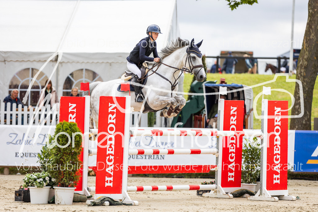 BHO-2PhSpr-M-5-2088 | MomenTaufnahmen Pferdesportfotos