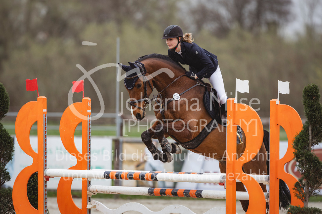 240330_Fruehlingsfest_Stil-A2-2-732 | Deine schönsten Turniermomente als professionelle Fotos! Entdecke hochwertige Pferdesport-Fotografie im Online-Shop. Jetzt Fotos finden & bestellen!