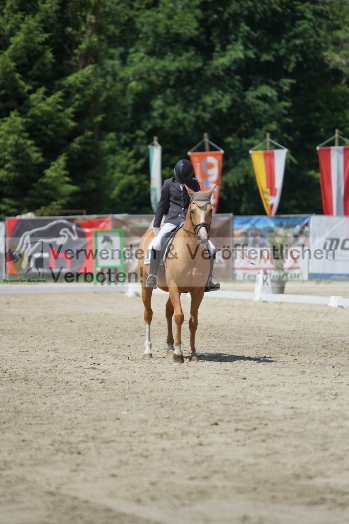 DSC01691 | equestrian-live-com